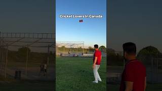 🇨🇦🏏 #cricketlover #canada #canadalife #lifeincanada #shortsfeed #shorts