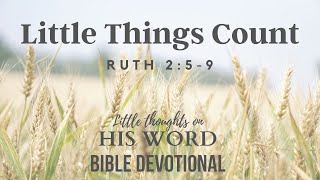 Little Things Count | Ruth 2: 5-9  Daily Devotional | Ruth and Boaz / Little Thoughts