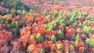 Mount Watatic in Full Fall Foliage - Wapack Mountain Range | 4K Drone Footage