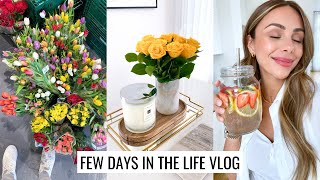 VLOG | Spring Reset, Pregnancy Update & Healthy Dinner Recipe | Annie Jaffrey