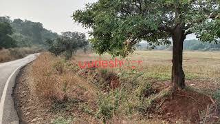 Farmhouse plot for sale Gadeshwar ( panvel)