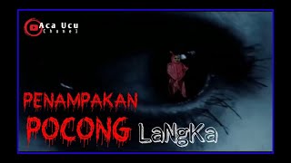 PeNaMpaKan PoCoNg LaNgKa | Berbagai PeNaMpaKan DaRi Alam GhoiB