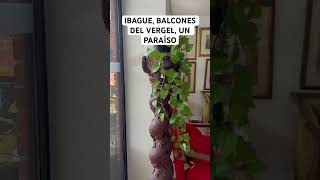 Ibague Tolima, Balcones del Vergel, un Paraíso