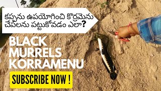 Snakehead Fishing with Top Water Frog Lures | కప్ప మీద కొర్రమేను చేపలను పట్టుకోవడం ఎలా?