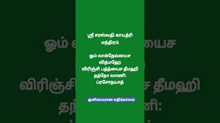 ஸ்ரீ சரஸ்வதி காயத்ரி மந்திரம் #aanmeegam #ஆன்மீகம் #mantra #shorts