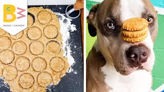 Super Easy & Healthy Dog Treats - Like a peanut butter biscuit w/out the lip smacking