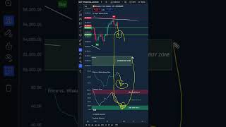 Bitcoin Rejection Creates BUY Opportunity? +14% Last Time! (Algorithmic Data)