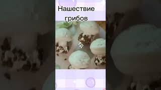 Грибочки в теме#зефир #изюм #чернослив #слива #какао #кофе