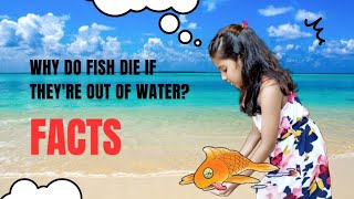 Why do fish die if they're out of water ?