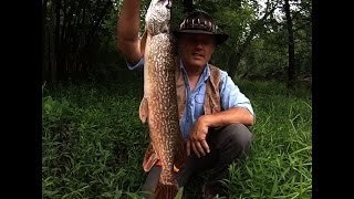 New Jersey Pike Fishing with Ken Beam on the Passaic River 6/20/2015