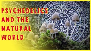 Psychedelics & Our connection to the Natural World - TAID3I Ep. #58