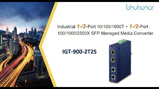 IGT-900-2T2S  Industrial Managed Media Converter