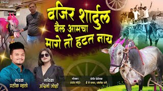 वजिर शार्दुल बैल आमचा मागे तो हटत नाय / Pratik Mhatre, Ashwini Joshi / VAJIR SHARDUL A1 JODI