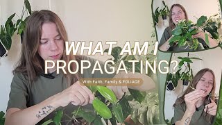 Always propagating my house plants. | What do you think I'm propagating today?