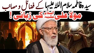 Mola Aliؑ a.s ki Zabani Syeda Fatima k masaib| Maulana Shifa Najafi