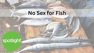 No Sex for Fish | practice English with Spotlight