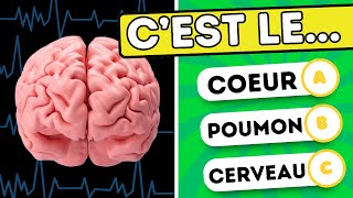 Connais-tu vraiment le corps humain ? 🧠🩺 Teste ta culture générale