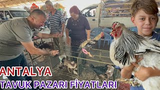 UZUN ZAMANDIR MERAK EDİLEN TAVUK PAZARI  ( HİNDİ ÖRDEK KAZ KEKLİK BILDIRCIN GÜVERCİN PAPAĞAN VB )