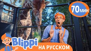 Блиппи кормит Жирафа в зоопарке🦒 | Блиппи на русском