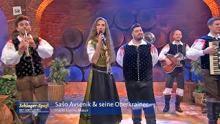 Sašo Avsenik & seine Oberkrainer - Hallo kleine Maus - | Schlager-Spass mit Andy Borg