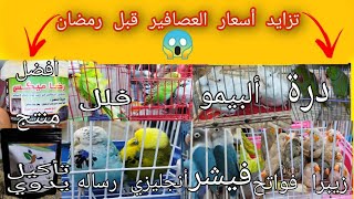 تقرير سوق الجمعه للعصافير بالاسكندريه جوله وفرحه داخل السوقmohamed_fouad#