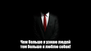 Чем больше узнаю людей, тем больше нравятся собаки. Олександр Шеремета. 17.08.2024