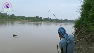 JORAN BAMBU BERGETAR HEBAT Mancing di sungai batnghari jambi