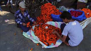 Grass Roots S1EP12 - Mughal Delhi