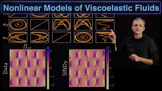 Nonlinear parametric models of viscoelastic fluid flows with SINDy