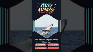 Gk Quiz || Quiz Time || #gk #quiz #quiztime