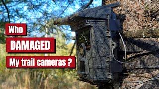 Trail Camera Bandits CAUGHT on Camera!