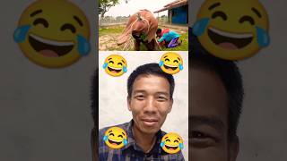 Funny viral short video,Comedy viral video,paban raee#funny #shorts #comedy #trending #reaction