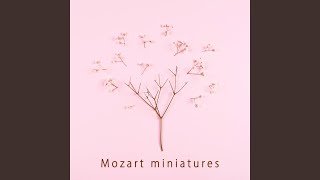 Mozart: Piano Sonata No. 11 in A Major, K. 331 "Alla turca": 1e. Variation 4