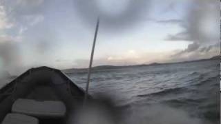 Wave Jumping.mov