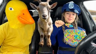 Police Surprises Rubber Ducky & Puppy with Car Ride Chase by Ducky life stories