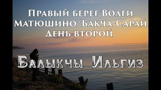 Сазаны!!! Фидерная рыбалка на Волге. День второй.