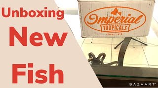 New Fish ,Unboxing From Imperial Tropicals