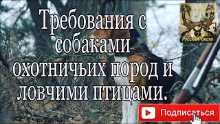 Требования к охоте с собаками охотничьих пород и ловчими птицами.