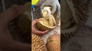 Idol - all you can eat durian 🤤🤤 #shorts #durian #youtubeshorts #food #fruits #asianfood #buah