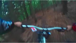 Bikepark Beerfelden -Airline 2017- + -Enduro trail-