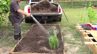 Planting our fall garden