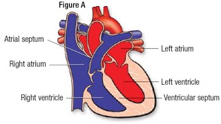 HEART ATTACK WARNING SIGNS AND SYMPTOMS