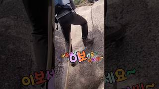 영동 천태산 로프타기~👍👍#shorts