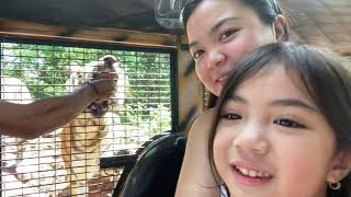 KIDS ALLOWED! ZOOBIC SAFARI Day Tour- Subic Philippines- July 2021