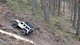 Absima Khamba VS FTX Kanyon: Forest Run part 2-