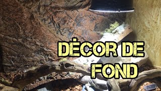 décor de fond aquarium pour terrarium