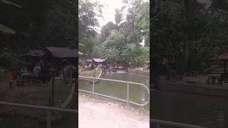 Water Fall in KL malaysia #cute #subscribe #viral #trending #shorts