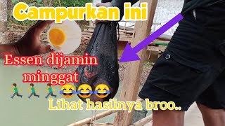 Campurkan ini..!!Yang pake Essen Nggak berani Lawan,umpan jitu ikan bawal,umpan lele galatama