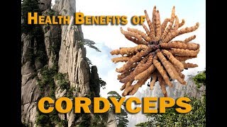 HEALTH BENEFITS OF CORDYCEPS