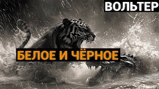 Вольтер: Белое и чёрное (аудиокнига)